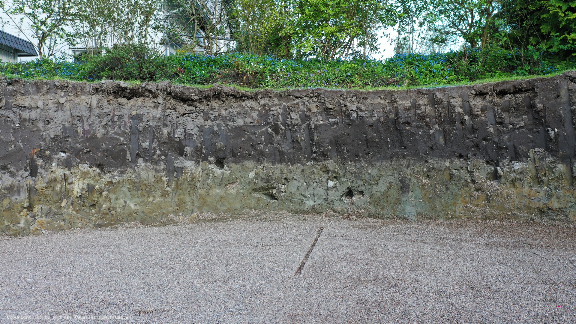 org_8ea21473e8171df7_1651771686000.jpg 1390